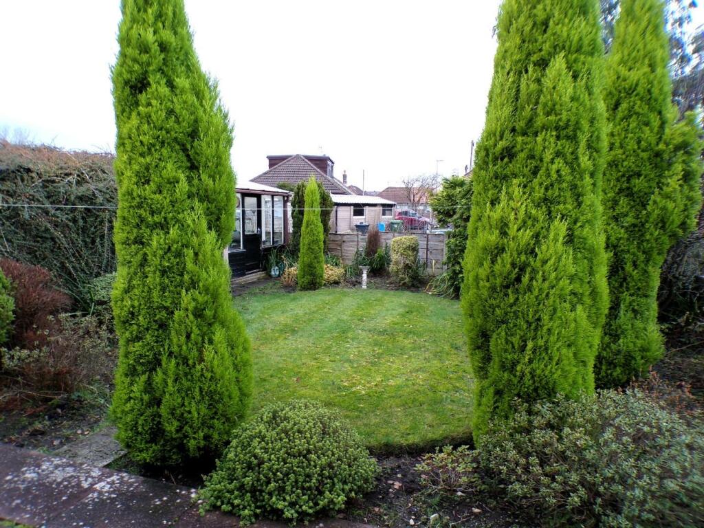 SchoolRd5gdn1.JPG