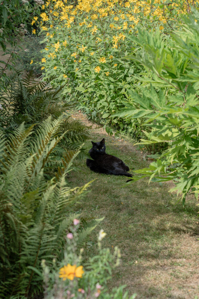 306275 - _A747484.jpg