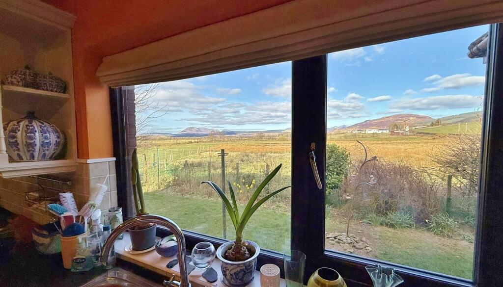 Kitchen view