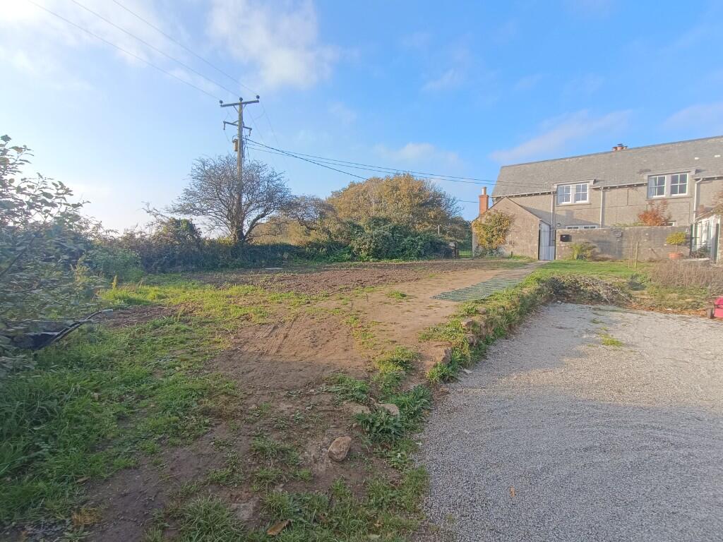 Back Garden 