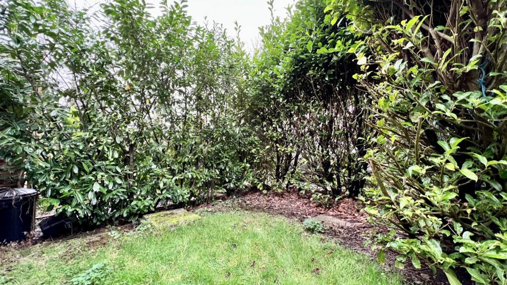 Front garden