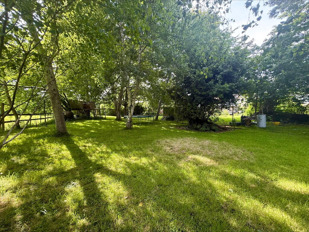 Recreational fiel...