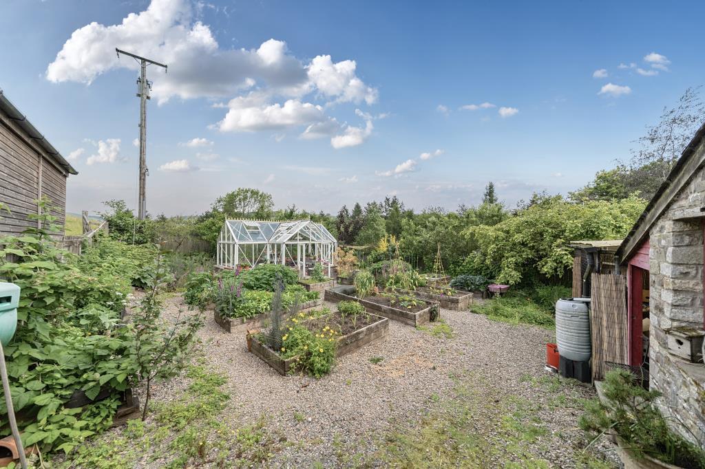 Kitchen garden