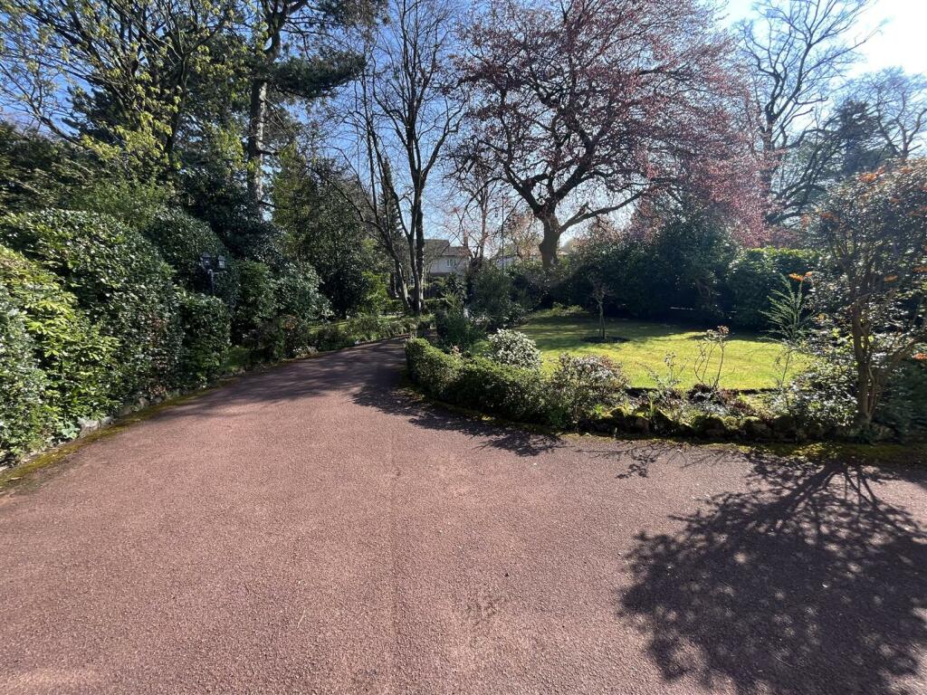 Driveway.jpg