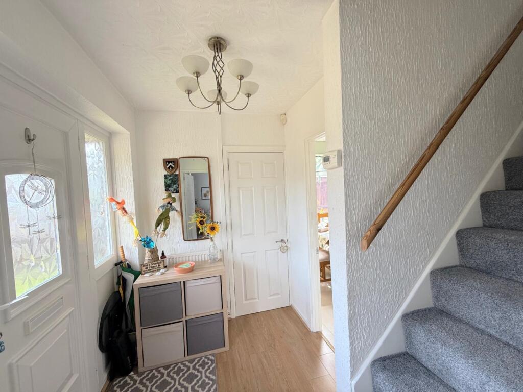 PHOTO-2025-07-03-20-26-47 14