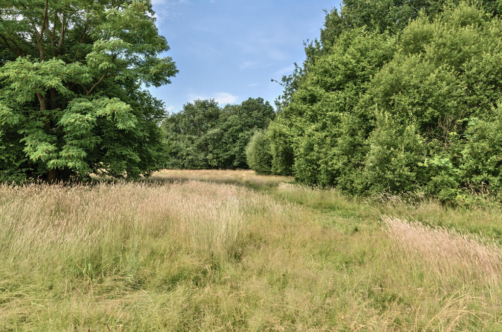 1316757-1-6863a40...