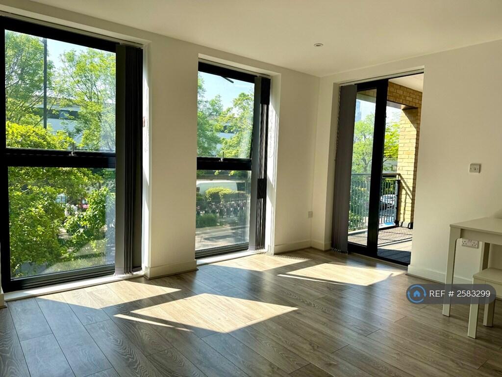 Beautiful Soft Lighting From South Facing Windows