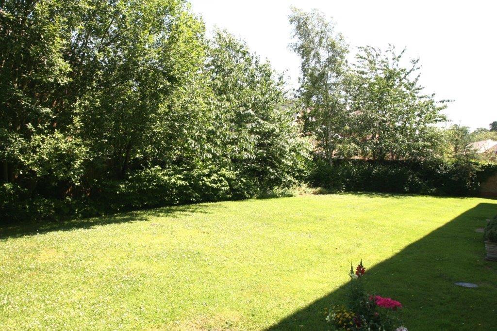 Grounds