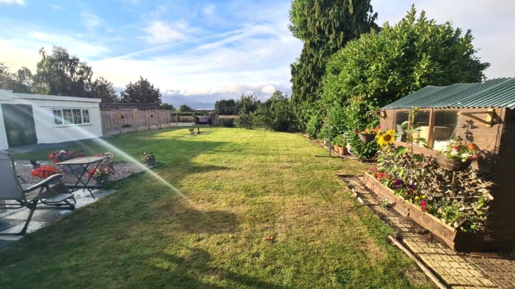 Back garden day 4...