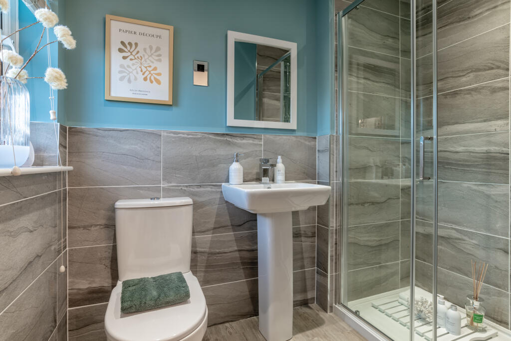 Kings Gallop-Fenton-BFOE02GD-100123-20