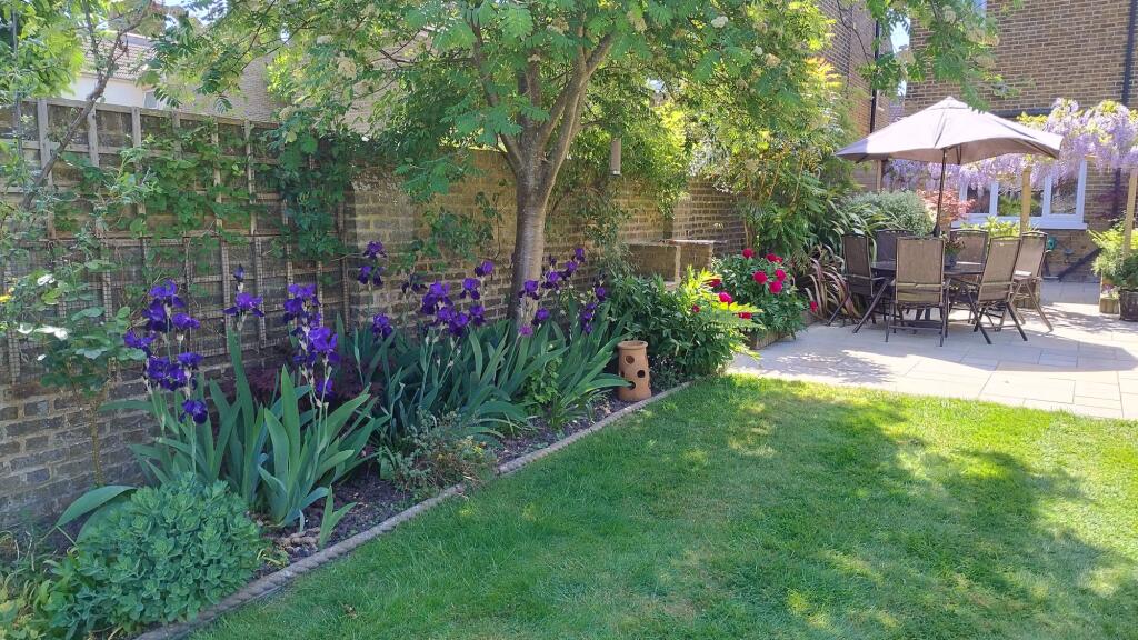 Garden (3)
