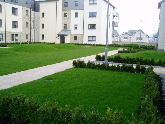 courtyard