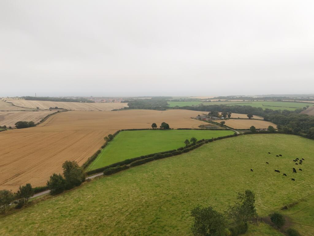 dji_fly_20240906_150258_0295_1725632233929_photo