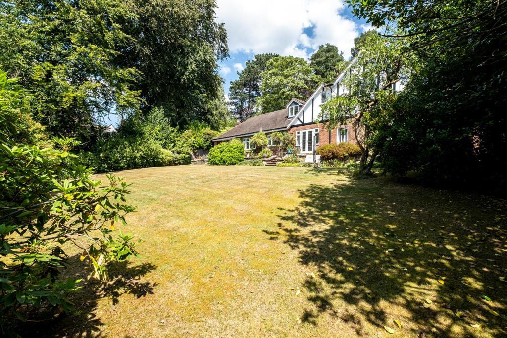 Full size-34 (Large).jpg