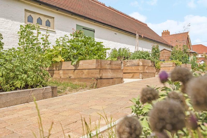 Vegetable Garden