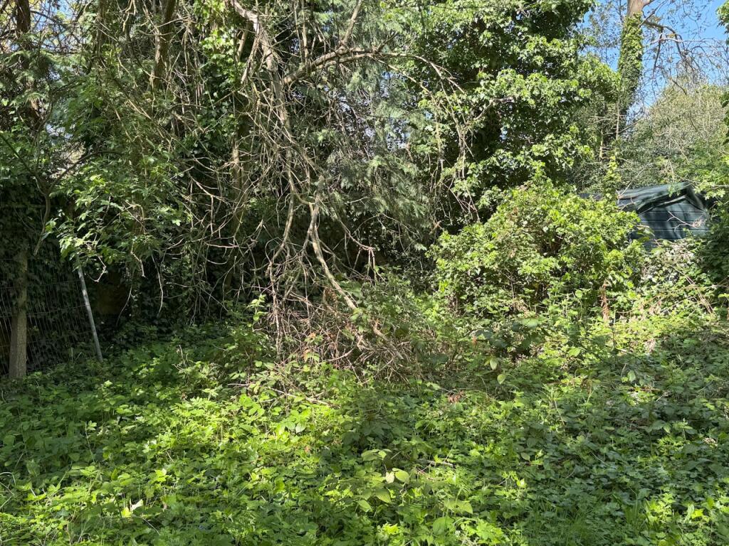IMG_4238.jpeg