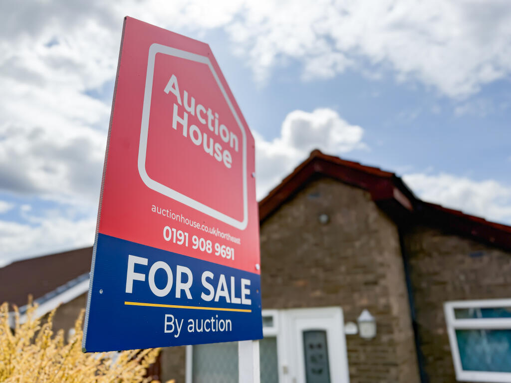 IMG 0555 T202507041441.jpg