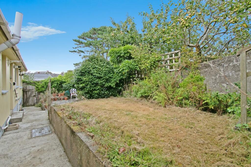 Back Garden