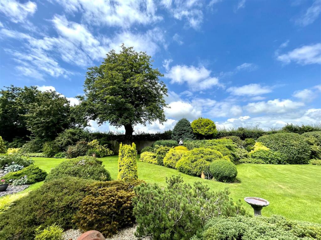 GARDEN.jpeg