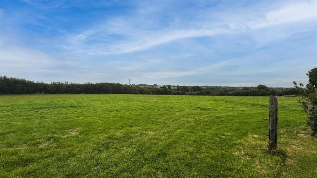 Field 3.jpg