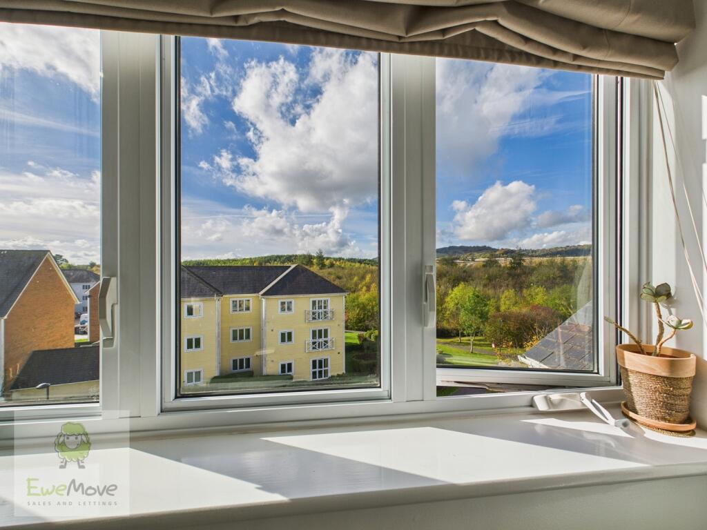 View From The Living Dining Room