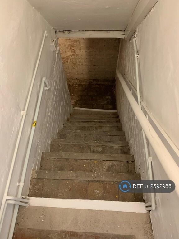 Cellar Steps
