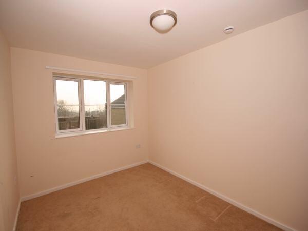 Photograph 6