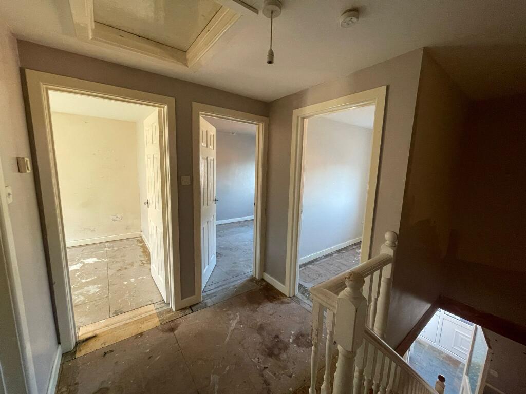 IMG 2798 T202601060926.jpeg