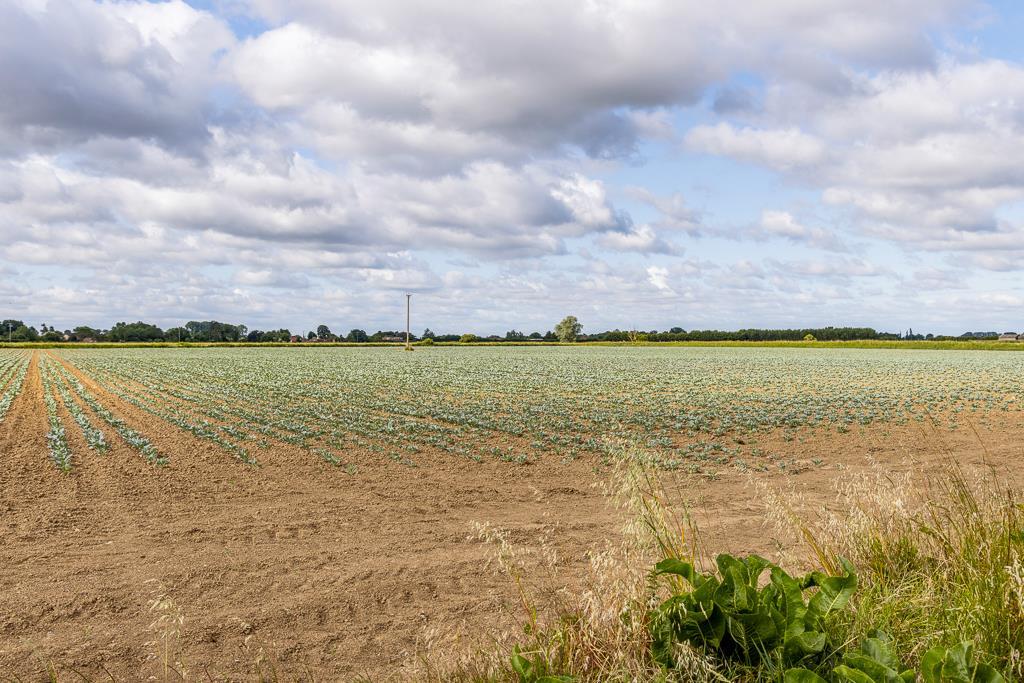 57 Bow Gate (Gosberton)-6.jpg