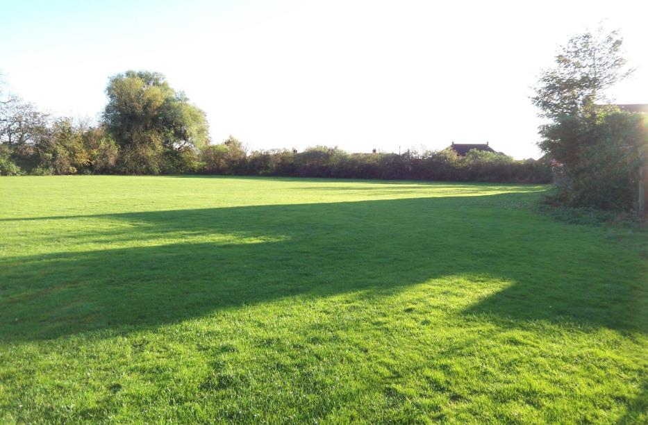 Ramby's Site Pic 2.png