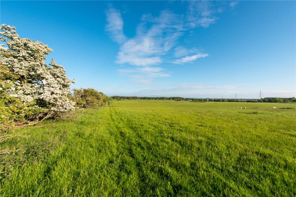 Lot 2 Land