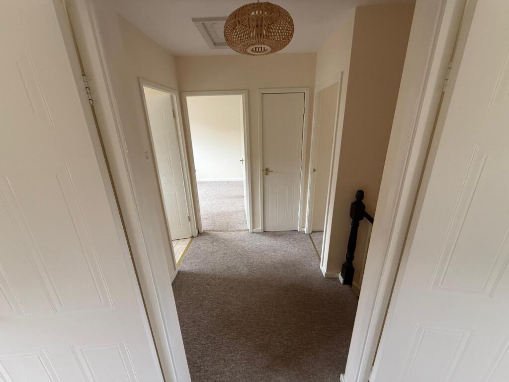 c0cc9477-af6c-496e-9afc-4bc473ef6f88