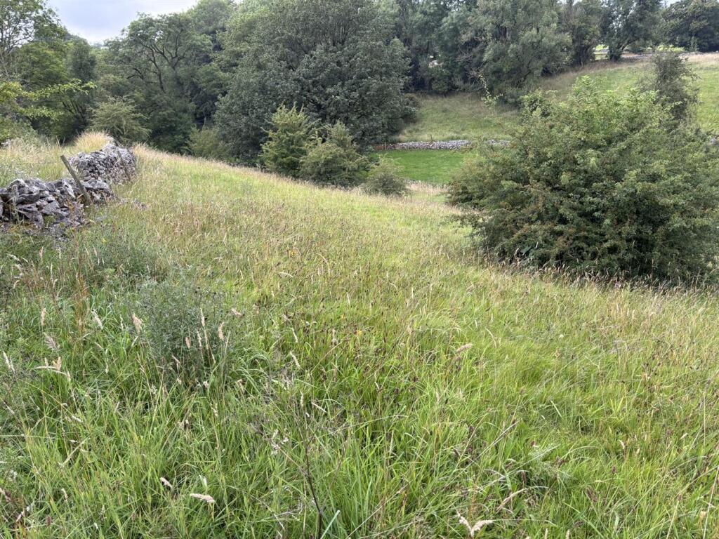IMG_5412.JPEG