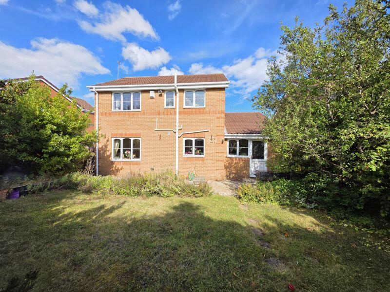 Rear Elevation Additional Image