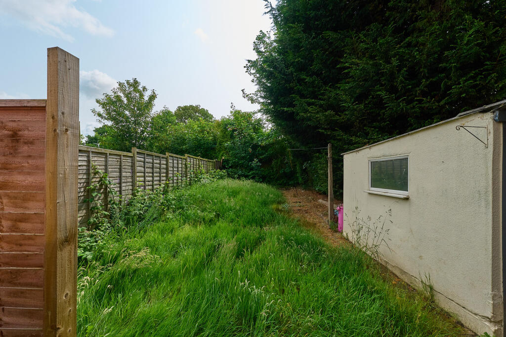 P1463059 T202506031642.jpg