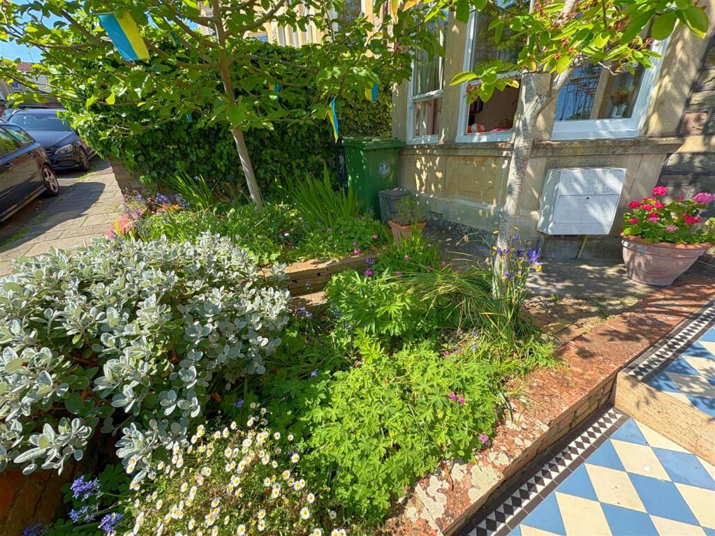 Front garden (1).jpg