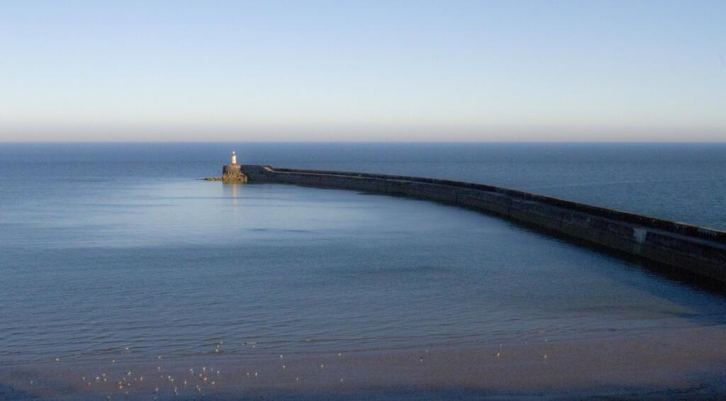 Lighthouse and harbo