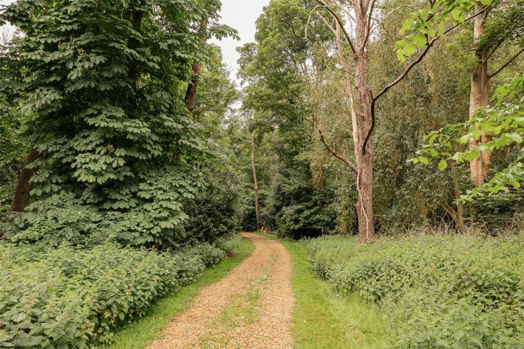 Grounds