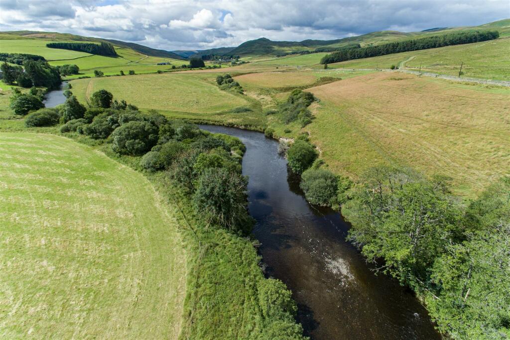 Ladyside Ettrick Valley 64.JPG
