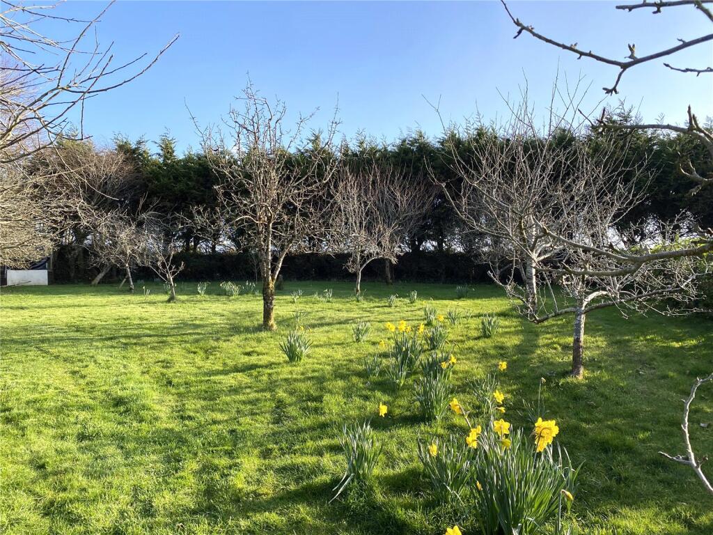 Picture No. 15