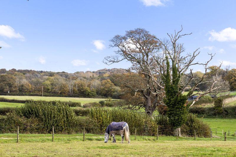 Nr. Storrington - South Downs National Park