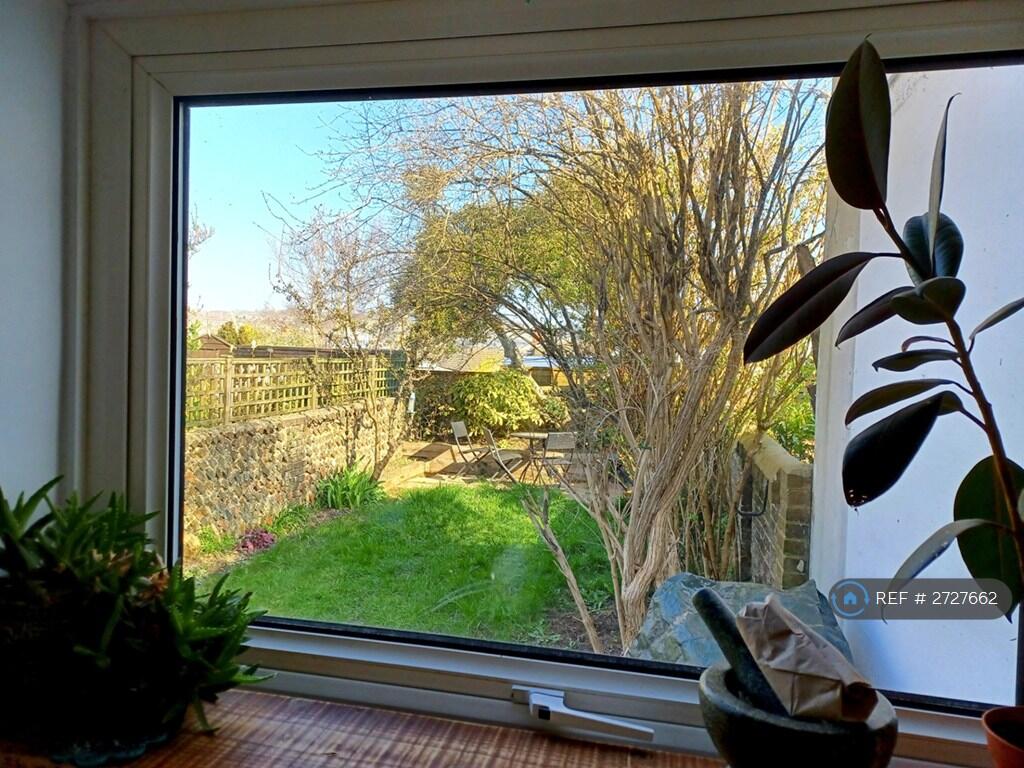 View From Kitchen