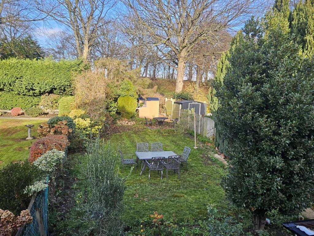 Garden.jpg