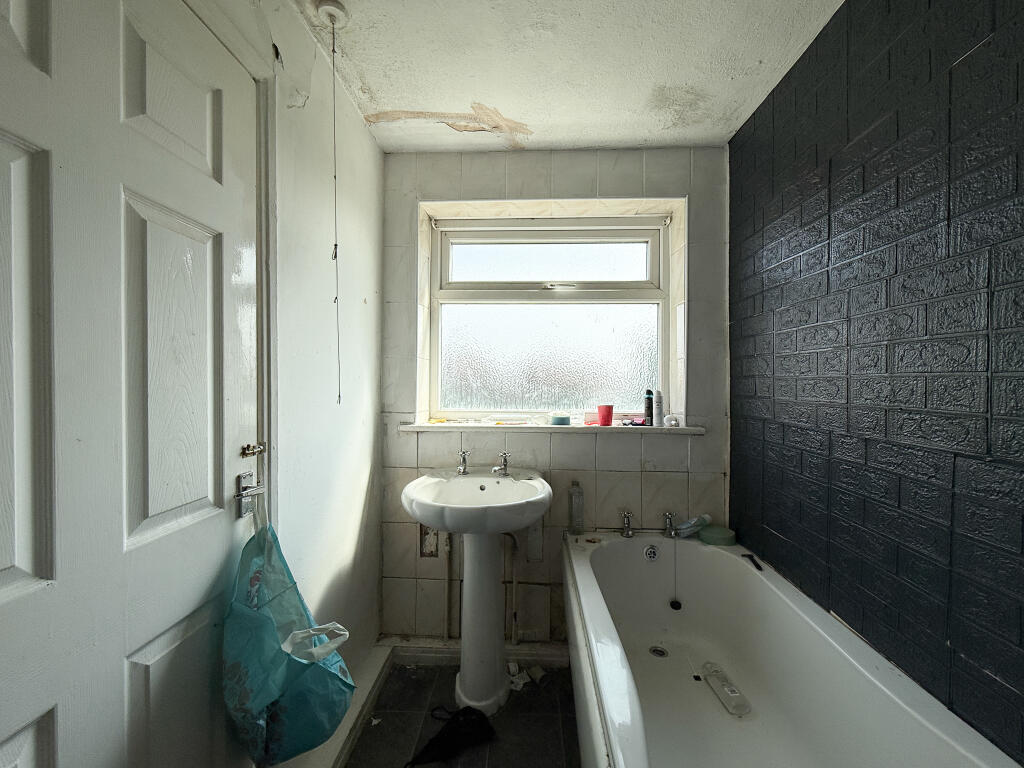 IMG 8995 T202506151053.jpg