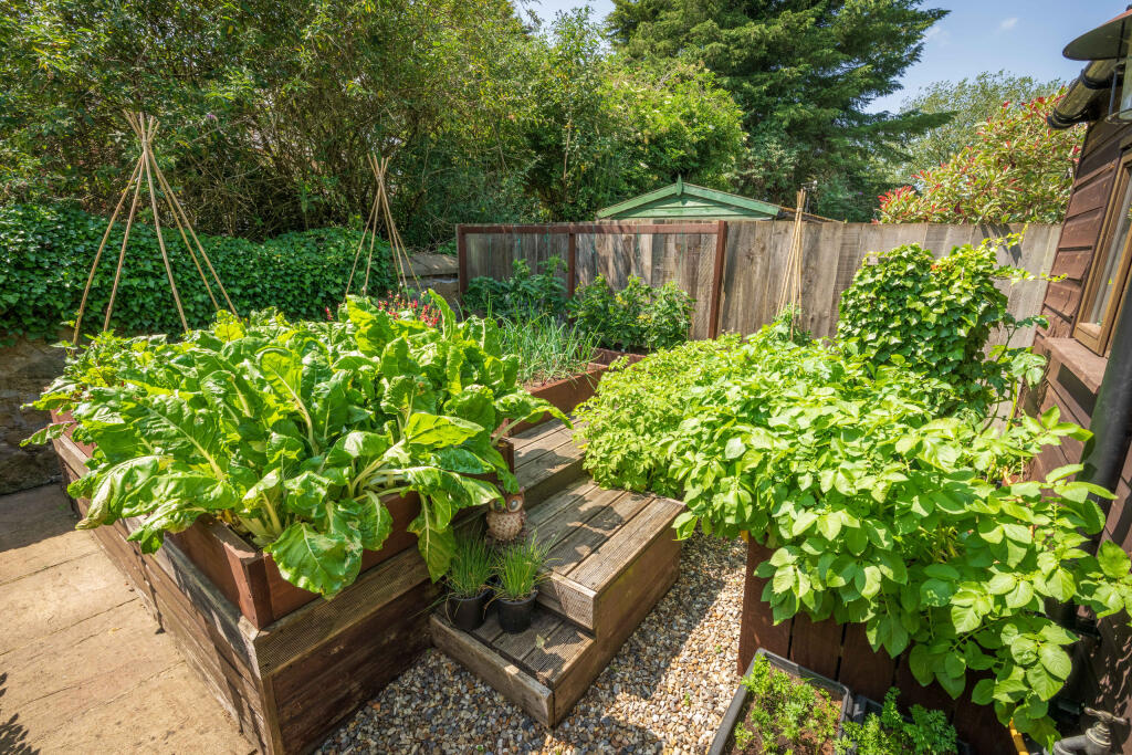 Cambridge road 5mb-8