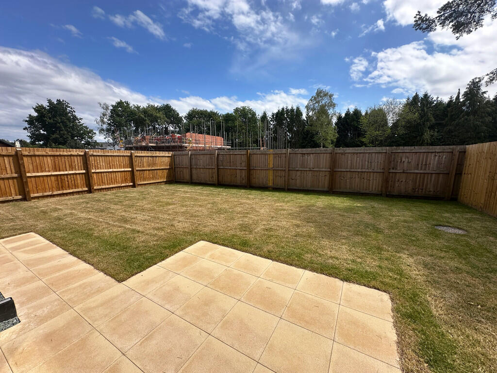 Back garden 2