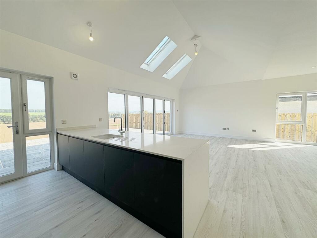 Living/Dine/Kitchen