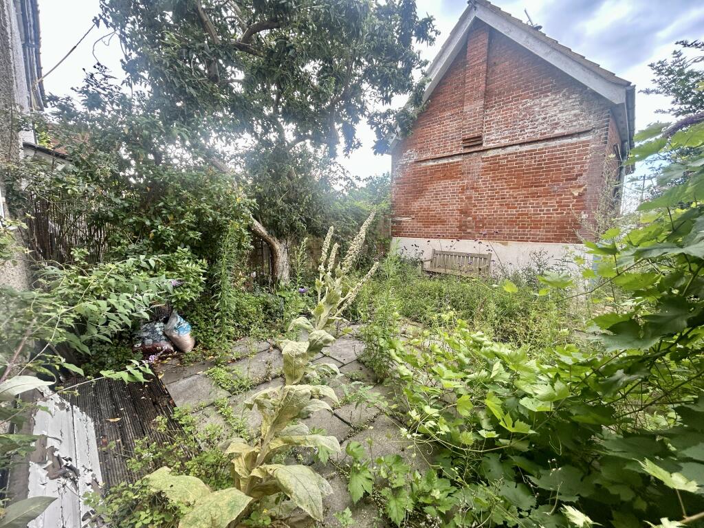 IMG 6565 T202508061545.jpg