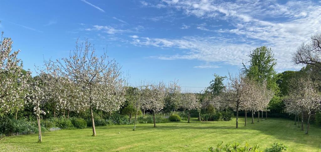 Orchard.jpg