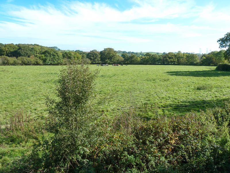 The field